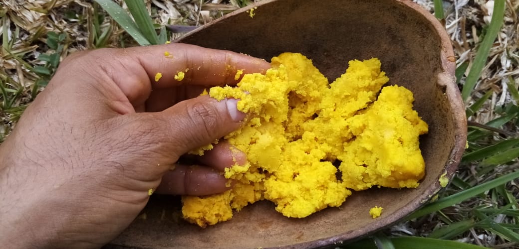 beurre de karité au moringa