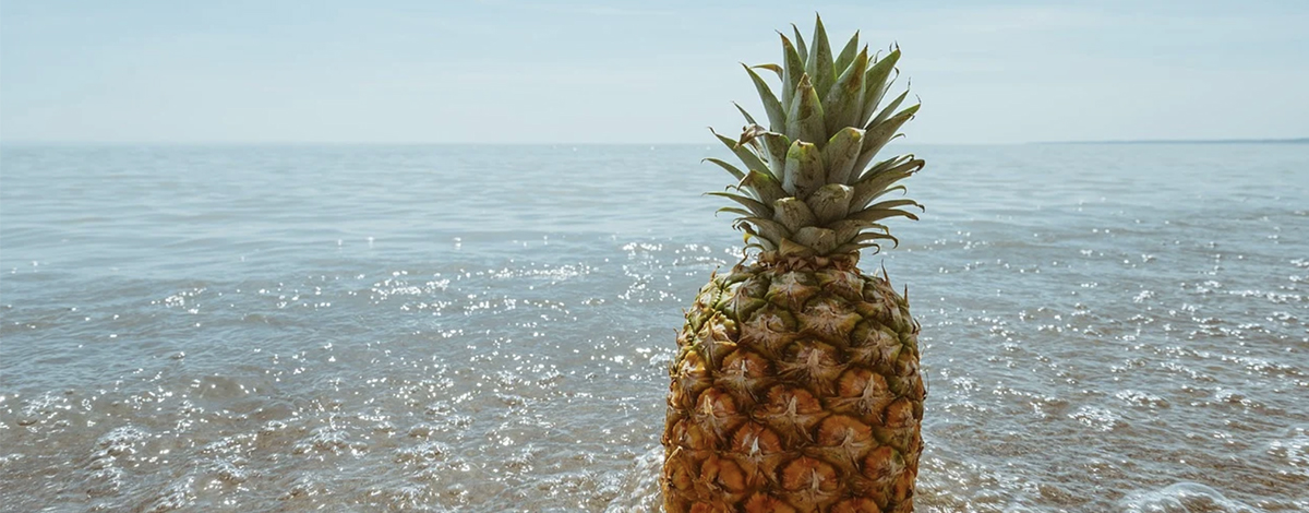 bienfaits ananas ls trade